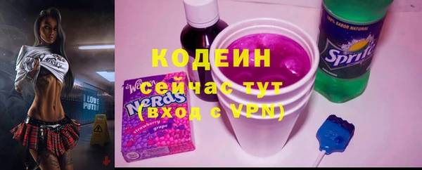 гидра Верхний Тагил