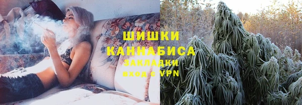 гидра Верхний Тагил