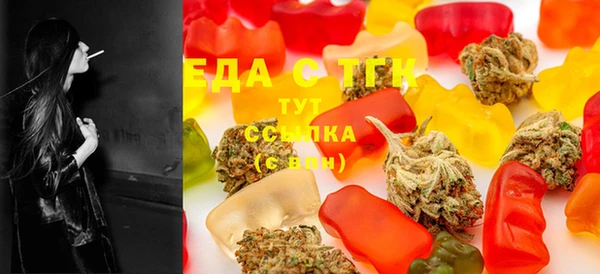 гидра Верхний Тагил